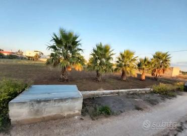 Terreno vicino al mare