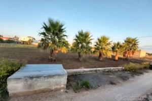 Terreno vicino al mare