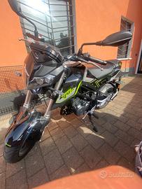 Benelli Tornado - 2024