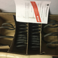 Kit Molle Eibach Opel Insigna B