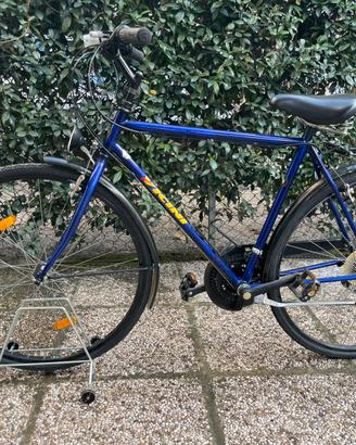 Bicicletta da uomo telaio L Vicini