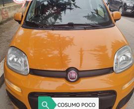 FIAT Panda 3ª serie - 2018