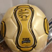 Pallone 2006