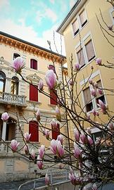 Trilocale in centro storico a Motta di Livenza