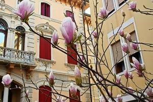 Trilocale in centro storico a Motta di Livenza