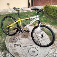 MTB 24"