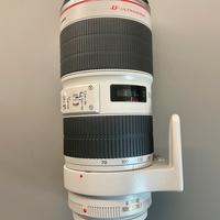 Canon zoom lens 2.8 L IS II USM