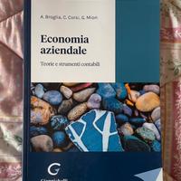 Libro Eco Aziendale Teorie e Strumenti Contabili