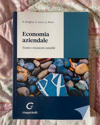 Libro Eco Aziendale Teorie e Strumenti Contabili