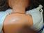 Immagine 6