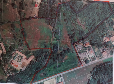 Terreno Agricolo - noccioleto