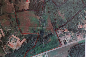 Terreno Agricolo - noccioleto