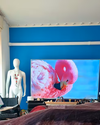 TV Hisense 75" 4k full HD  top di gamma perfetta 