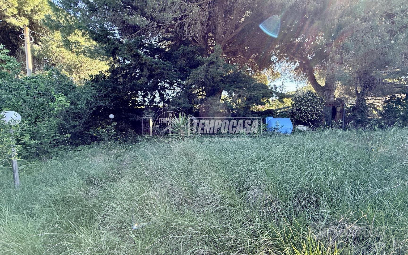 Terreno di 700 mq pianeggiante - Vista 5