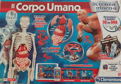 Il corpo umano Clementoni