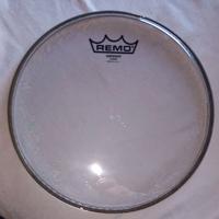 Pelle per Tom  Remo Emperor 10" Clear