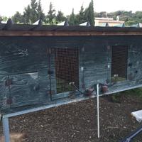 Gabbie per lepri e piccoli animali