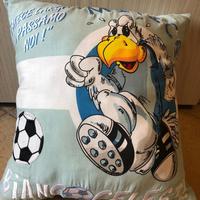 Cuscino Lazio/Biancoceleste/#idearegalo🎁