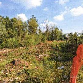 Immobile in asta di 38800 m² a Meda