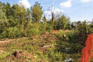 Immobile in asta di 38800 m² a Meda