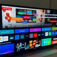 LG OLED evo C2 48” Smart TV 4K