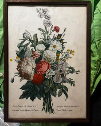 Quadro vintage "Rosa Damascena Celsiana"