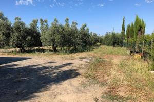 Terreno edif. resid. a - Collemezzano AltoCecina