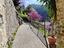 Immagine 12