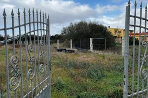 Terreno agricolo recintato