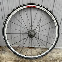 Cerchio posteriore e anteriore