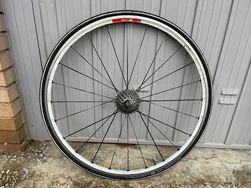 Cerchio posteriore e anteriore