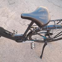 bici elettrica 