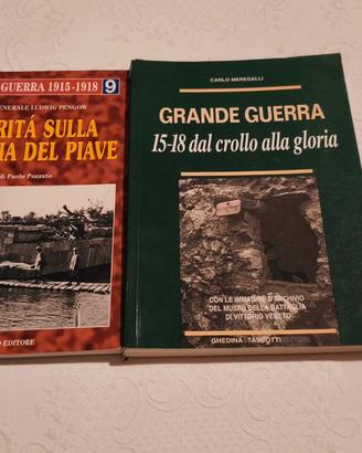 lotto 2 libri grande guerra - Pengow + Meregalli