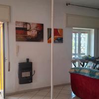 Palo Pole Dance professionale 