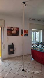 Palo Pole Dance professionale 