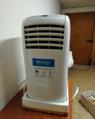 condizionatore e deumidificatore 