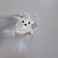 swarovski foca