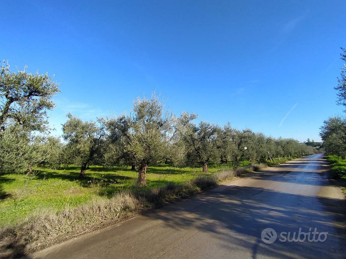 TER. AGRICOLO A CERIGNOLA - Altro