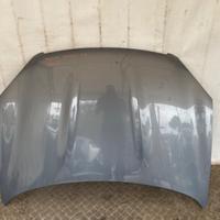 Cofano Motore Anteriore Nissan Qashqai J10 2006 20