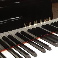 Pianoforti Yamaha C3 e C3 Silent diversi modelli