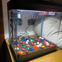 Acquario completo NO PESCI