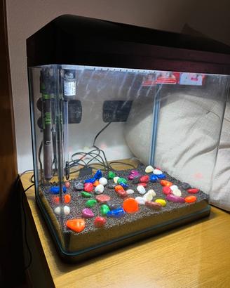 Acquario completo NO PESCI