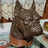 SCULTURA  cane " boxer " terracotta