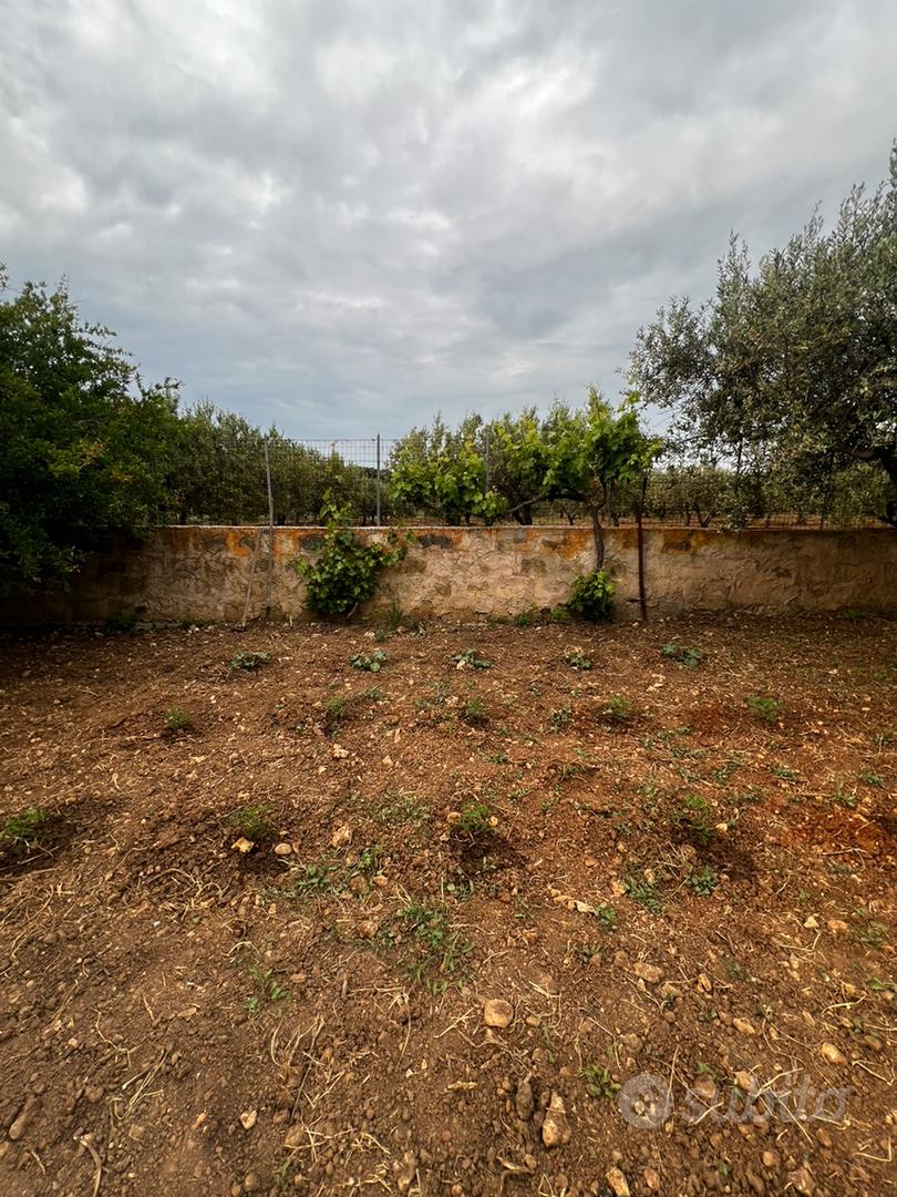 Magazzino con terreno - Vista 4