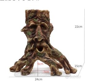 Radici di albero con volto umano 