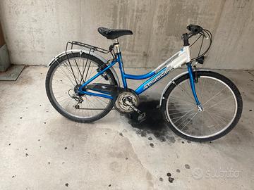 Bicicletta mountain bike