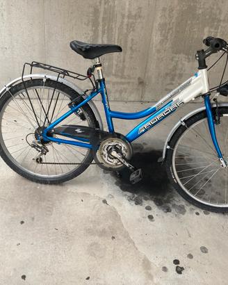 Bicicletta mountain bike