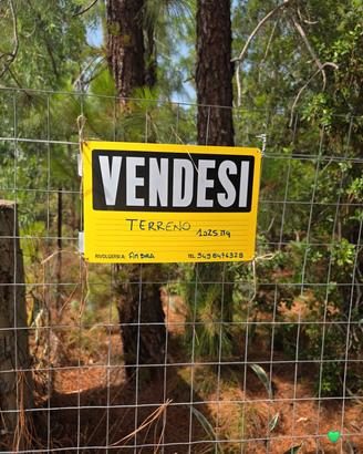 Terreno