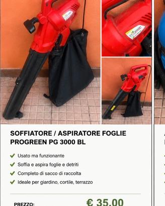 Soffiatore aspiratore trituratore ProGreen PG 3300