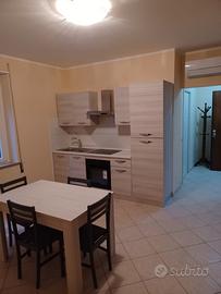 Fr bassa bilocale arredato nuovo